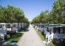 11 DON ANTONIO CAMPING VILLAGE   GIULIANOVA LIDO