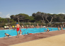 4 CAMPING S ENA ARRUBIA   ARBOREA